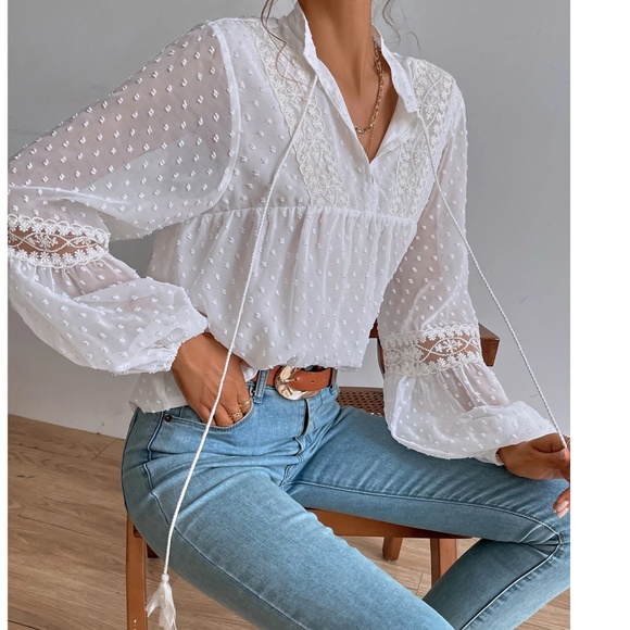 Swiss Dot V neck Tassel Tie Semi Sheer Long sleeve Top - Picture 10 of 11